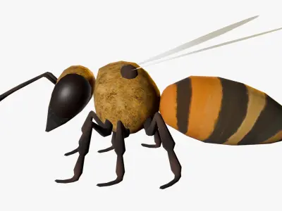 Animated Bee Low-poly 3D model purchase