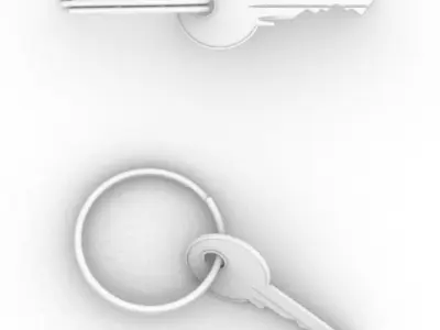 Simple Key - Fraisa 3D model