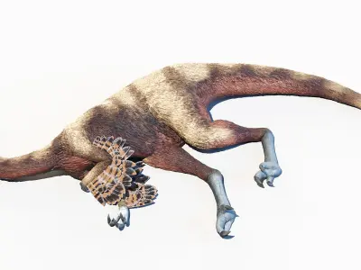  Ornithomimus Animated 