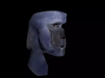 Alien head 3D model order