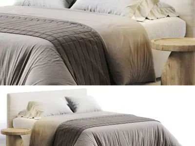 Meridiani Stone Bed 3D model