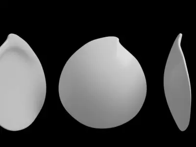 Seashells  3D model