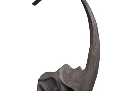 Rhino with unique horn 3D model