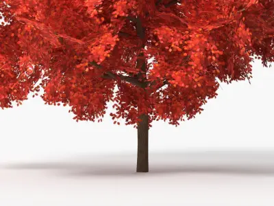  Lowpoly Red Oak Forest Tree 