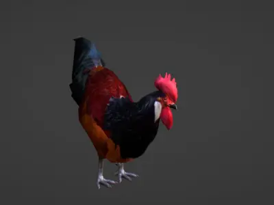Rooster Low-poly 3D model