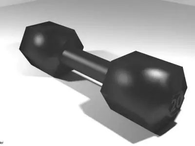 Exercise Equipment Shaped Dumbell 3D model