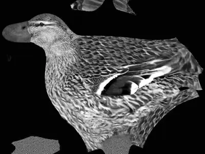 Charming Duck Model 3D model