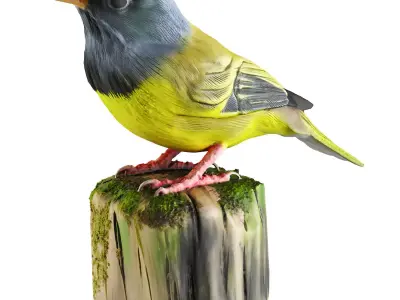 bird statue 3 3D model