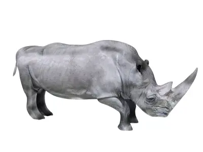 Rhino  with texture 3d 3D model