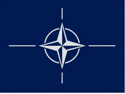 Nato Flag 3D Model Low-poly 3D model