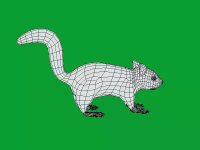 Black Canadian Squirrel Free low-poly 3D model
