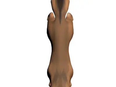 Fox model 3D model
