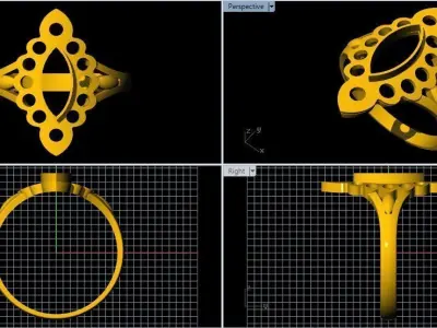 Antique Ring 3dm file 3D print model