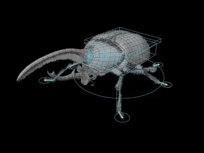 Hercules Beetle Low-poly 3D model purchase