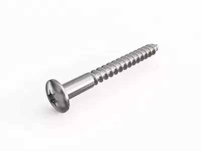 Screw 60 3D model