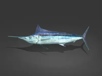 Blue Marlin Low-poly 3D model