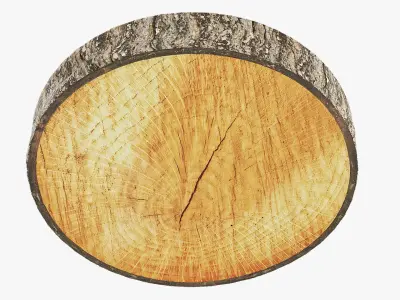  Bast Shoes on Saw Wooden Stump 