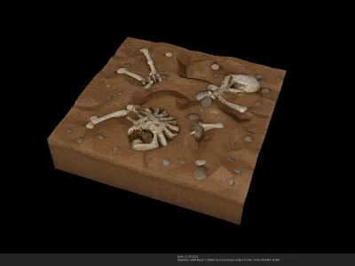 Stylized Fossil Dig Site - Skeleton Remains - AI Low-poly 3D model