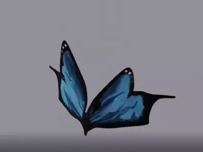 butterfly 3D model 4