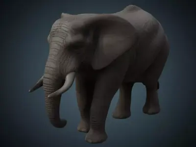 Elephant 1 Lowpoly Low-poly 3D model