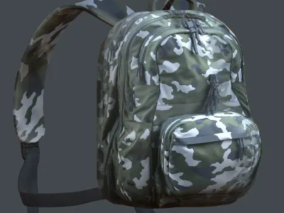 Backpack Camping Generic military human bag storqge baggage Low-poly 3D model order