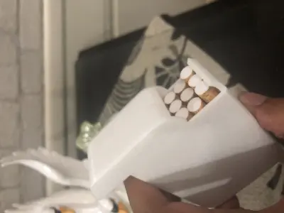 Cigar Case 3D print model