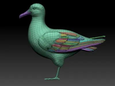 Seagull 3D model purchase