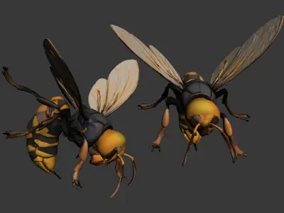 insect 3D model 2