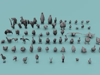 Birds Assets Low-poly 3D model