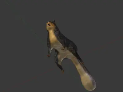 Fox Squirrel Low-poly 3D model