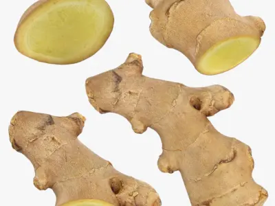 Ginger Slices Collection 3D model