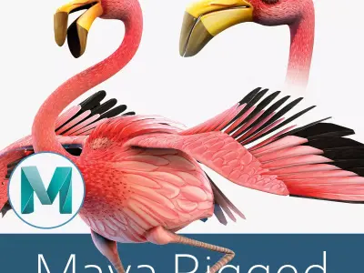 Flamingo bird Low-poly 3D model