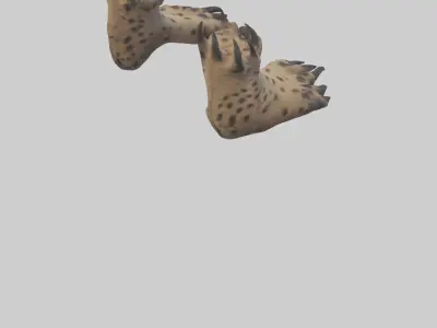 Hyena Paws Model Low-poly 3D model