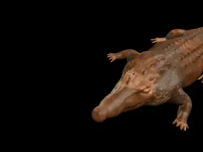 MUD CROC 3D model
