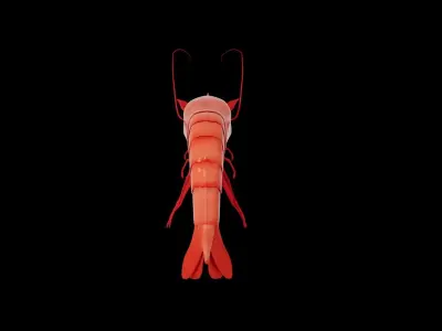 Shrimp 3D model purchase