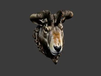 Animal Head Low-poly 3D model 7