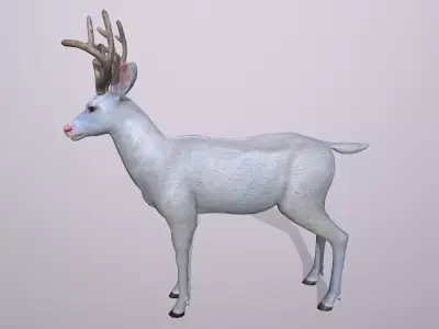 White deer Low-poly 3D model