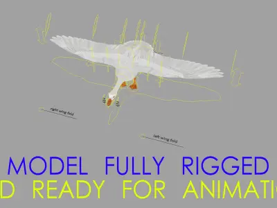 Chen Caerulescens "Snow Goose Albino" 3D model