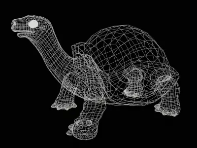 turtle rig  high-poly  3D model