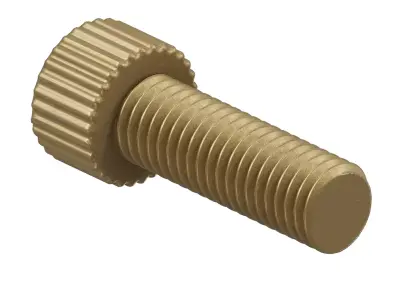 Antique Brass Socket Bolt 3D model