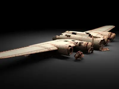 Airplane Wreck 3D model