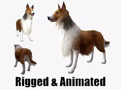 low-poly animated dog Rough Collie  Low-poly 3D model