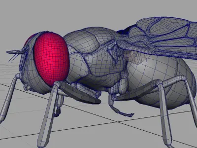housefly 3d model fly 3D model