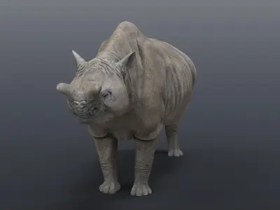 Megacerops coloradensis 3D model