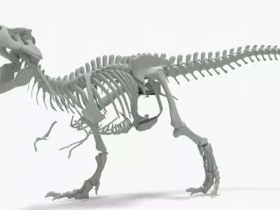 Tyrannosaurus Rex Rigged Skeleton Low-poly 3D model