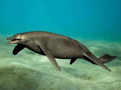 shastasaurus dolphin swimming in ocean 3D model