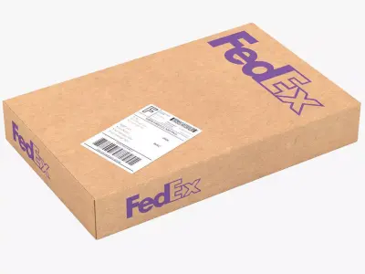 Cardboard Packaging Box Fedex 3D model