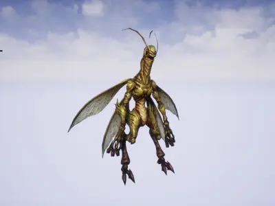 Califera Low-poly 3D model