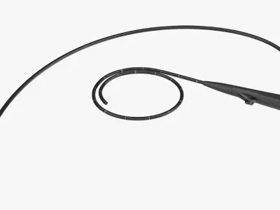 Endoscope 3D model