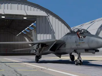 Grumman F-14 Tomcat 3D model